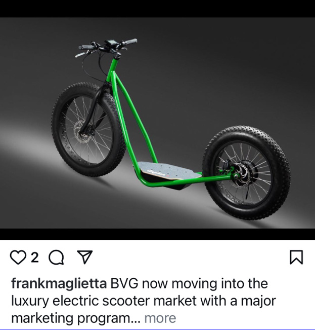 Electric Scooter